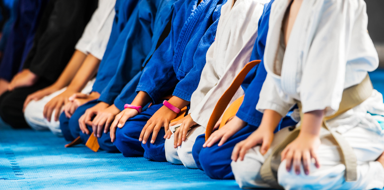 The Dojo Experience